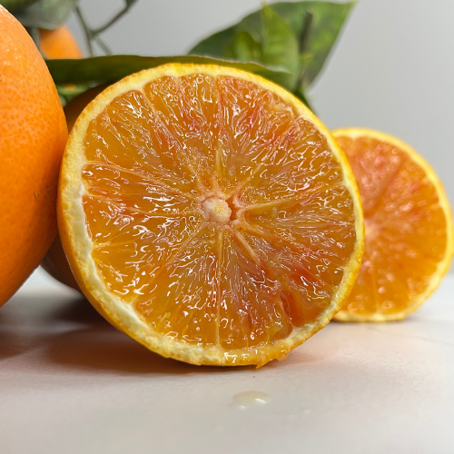 Tarocco Biologico - immagine 4