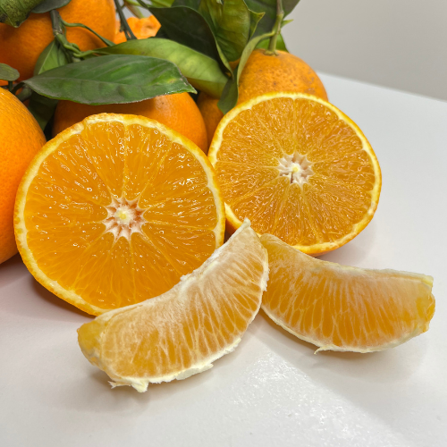 Tarocco Biologico - immagine 3